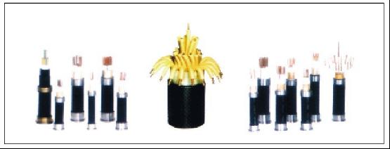 聚氯乙烯绝缘和护套控制电缆（GB9330—1988）